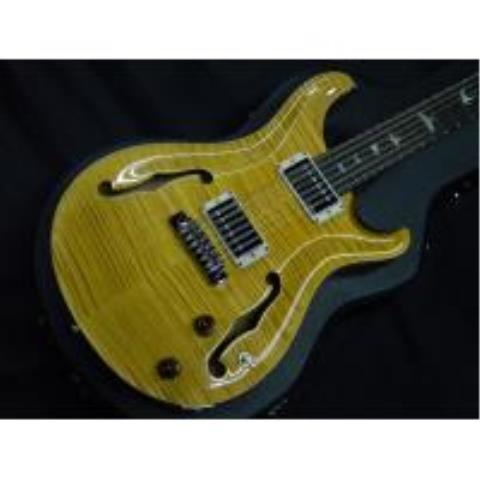 HOLLOWBODY 10 TOP 12 STRINGS HONEYサムネイル