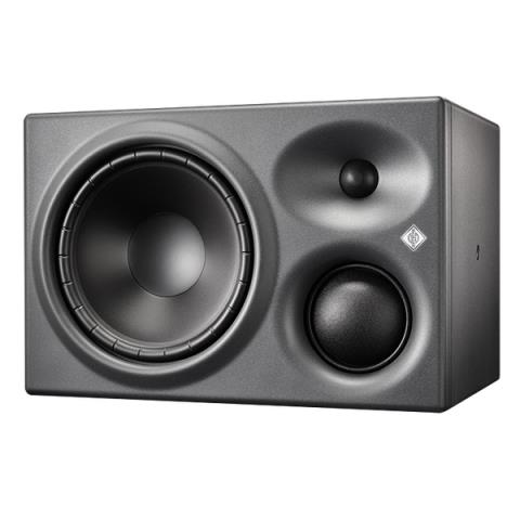 NEUMANNKH 310 A R G