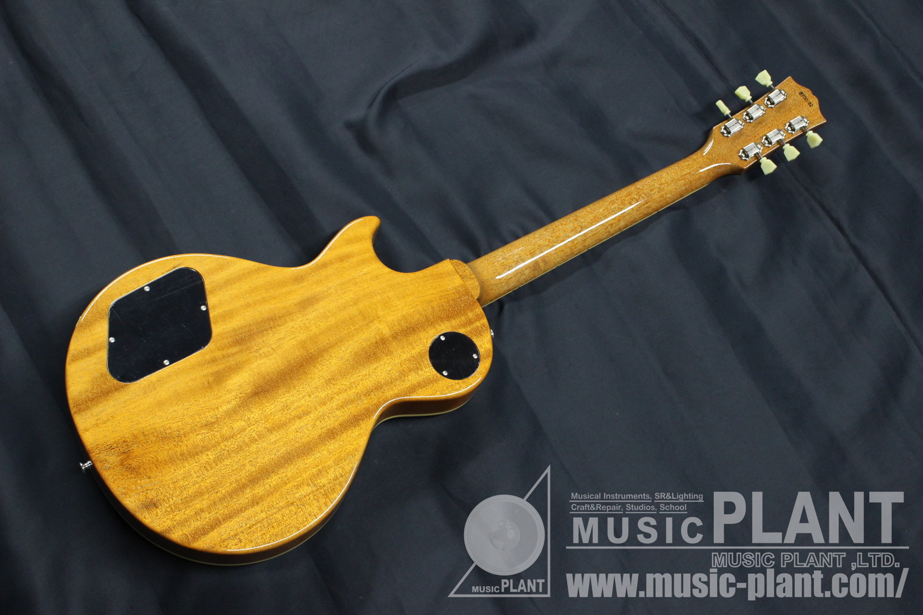 N-LP-STD/P Gold背面画像 N-LP-STD/P Gold背面画像