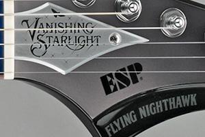 FLYING NIGHTHAWK追加画像 FLYING NIGHTHAWK追加画像