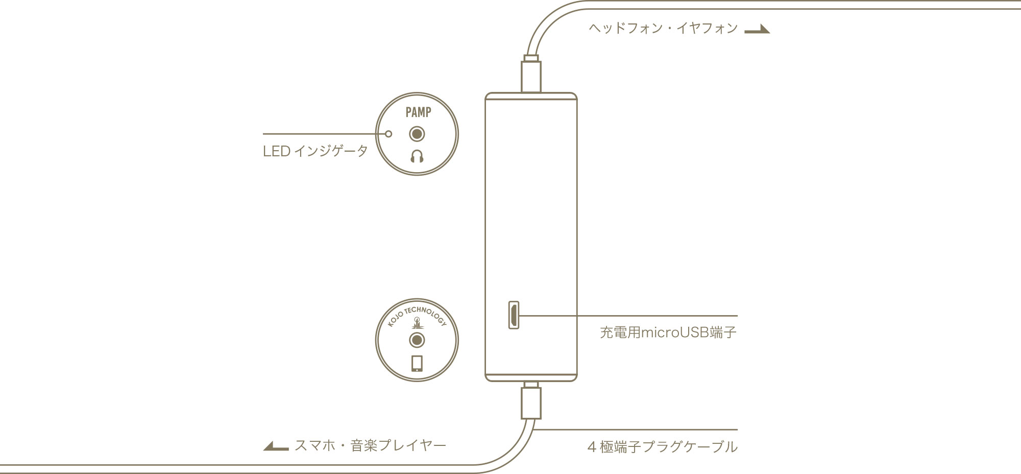 PAMP追加画像 PAMP追加画像