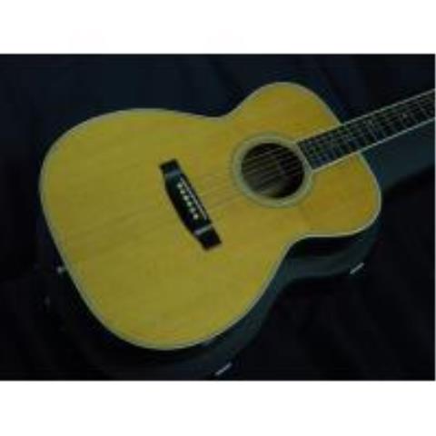 Seagull-アコースティックギターSS-70 Special (Jacaranda)