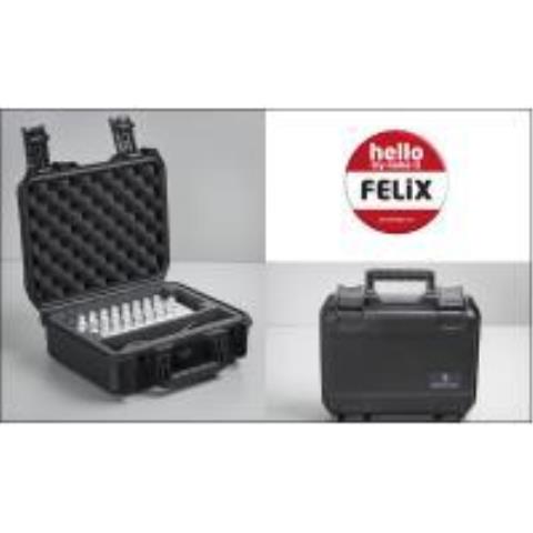 GRACE design-FELiX SKB case
FELiX SKB case