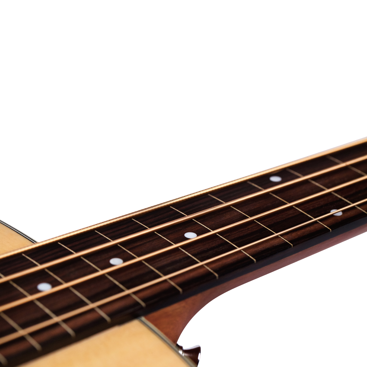 B-240EF NAT Fretless追加画像 B-240EF NAT Fretless追加画像