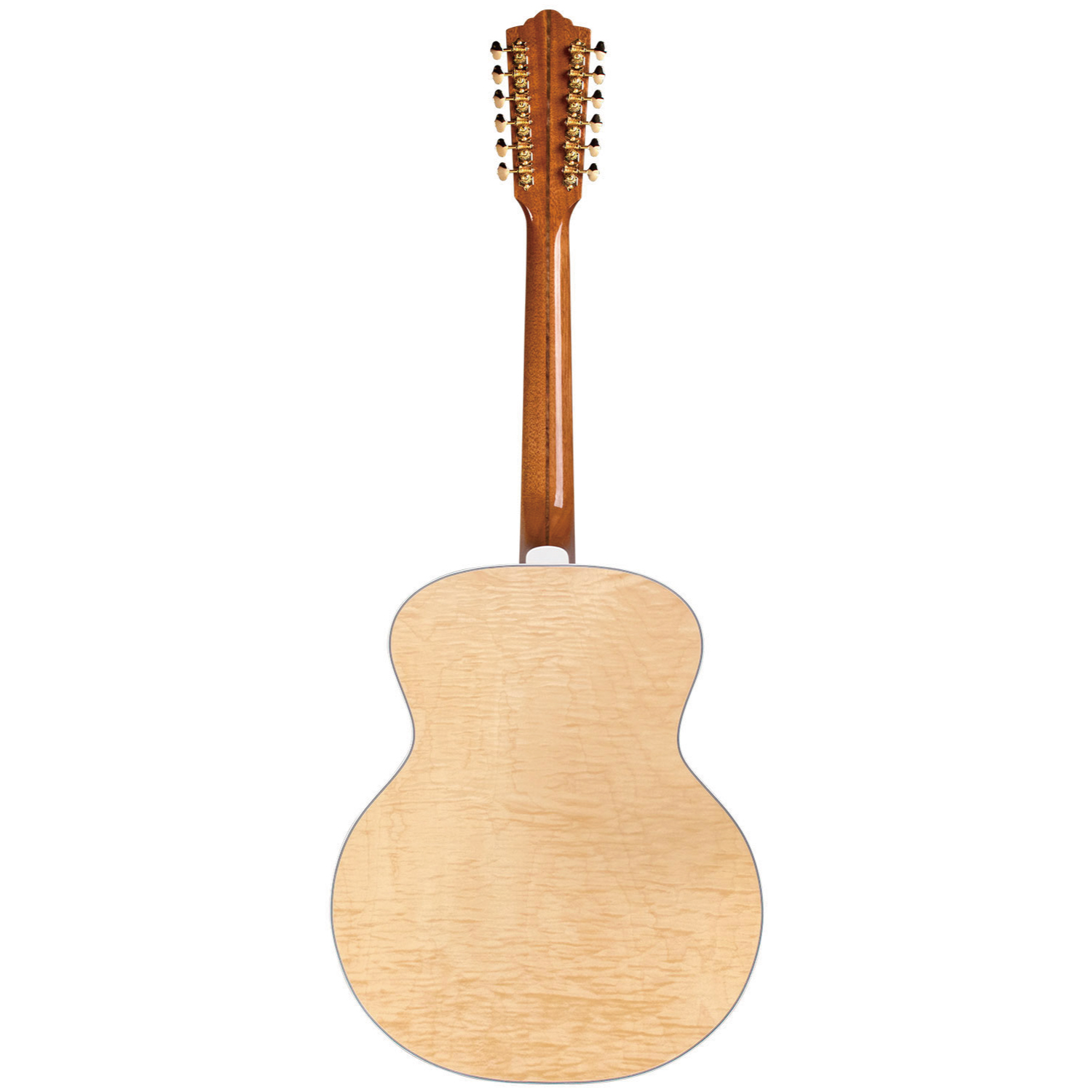 F-512 Maple NAT背面画像 F-512 Maple NAT背面画像