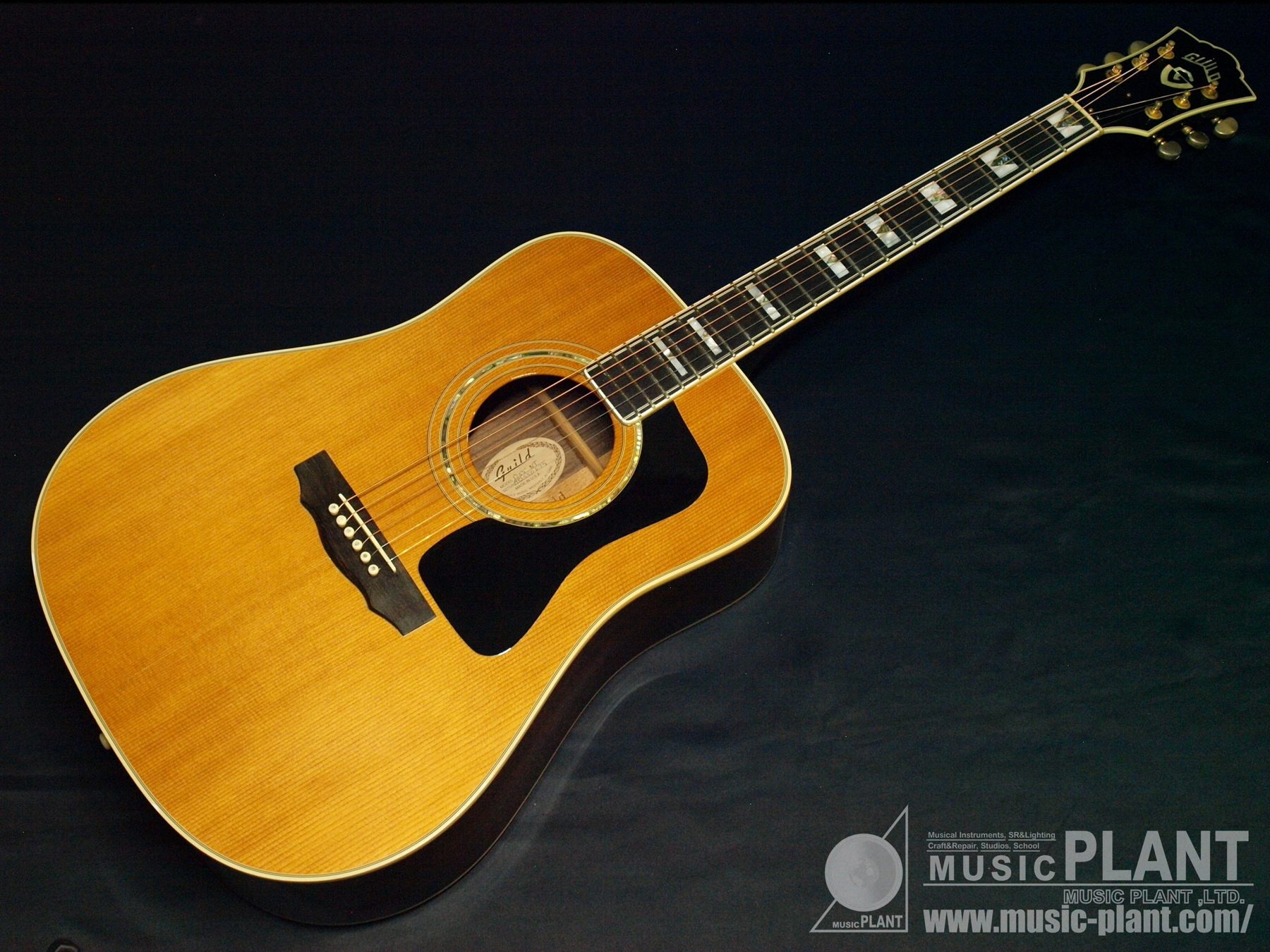 GUILD アコースティックギターD55中古品()売却済みです