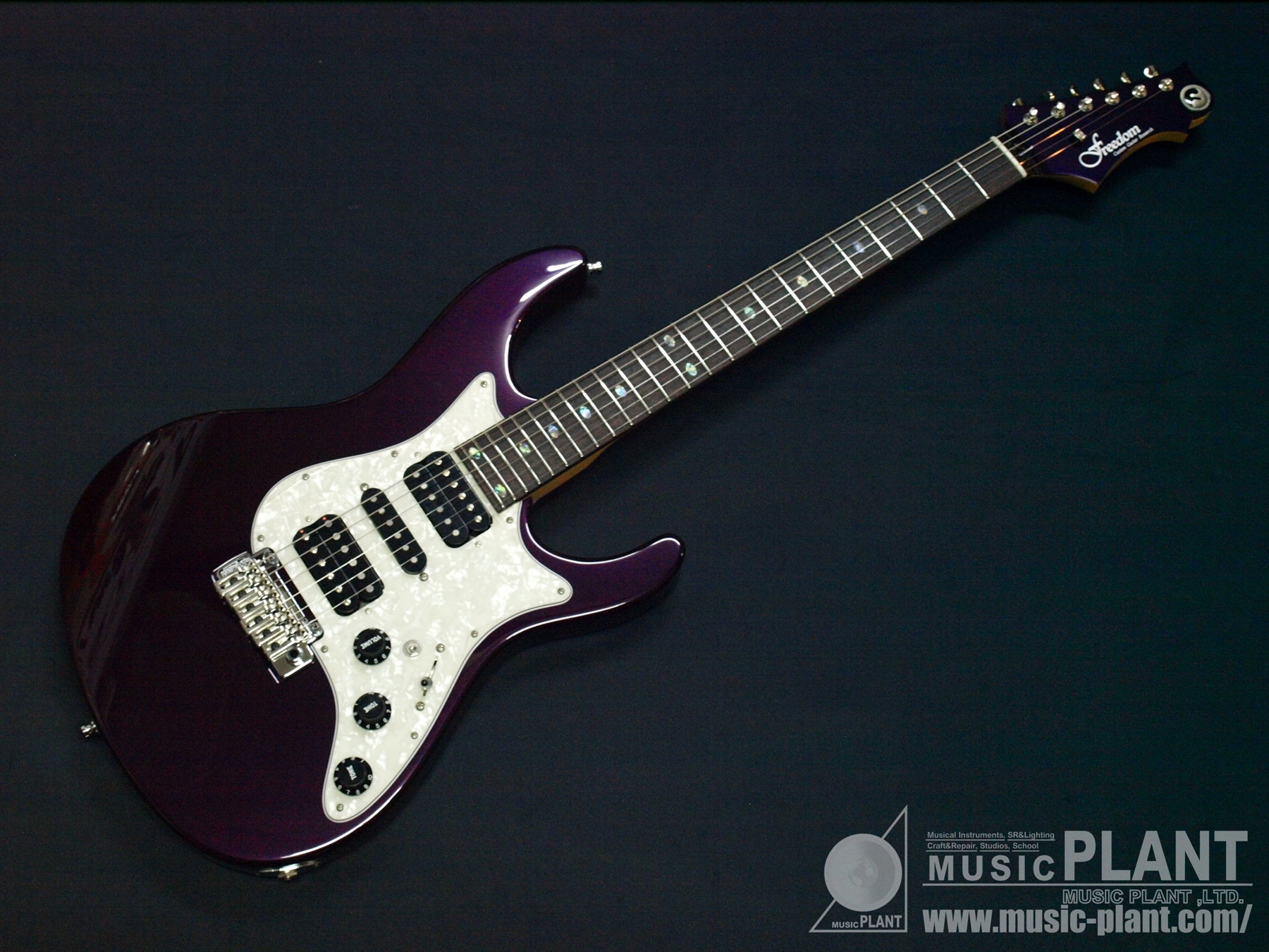 FREEDOM CUSTOM GUITAR RESEARCH Hydra Classic