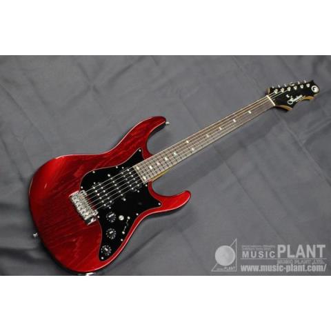 FREEDOM CUSTOM GUITAR RESEARCH-エレキギターHydra Classic 24 2point 佐助