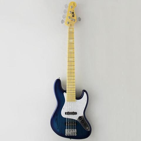 FgN-5弦エレキベース弦NJB10MBAHV-SBB/02