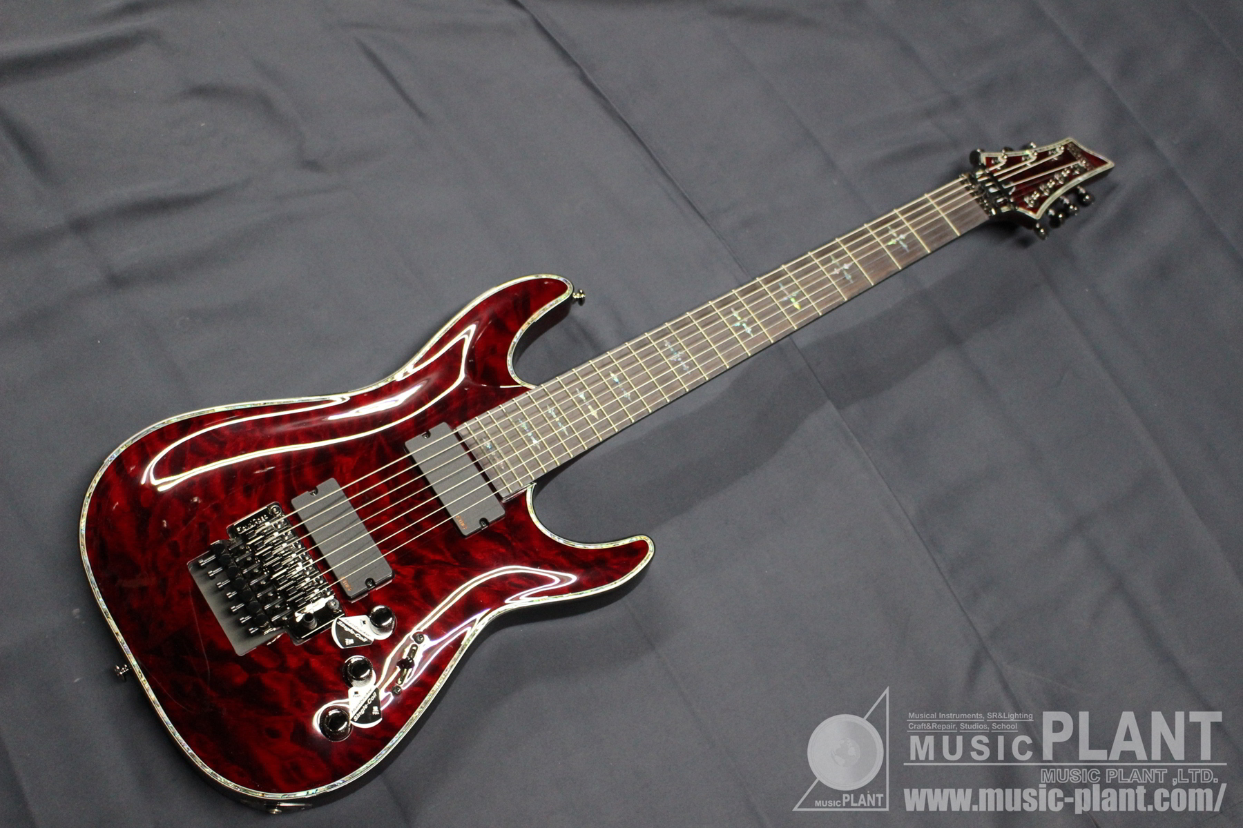 SCHECTER HELLRAISERシリーズ 7弦エレキギターHELLRAISER FR AD-C-7-FR