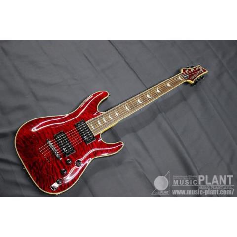 SCHECTER

EXTREAME AD-OM7-EXT Black Cherry