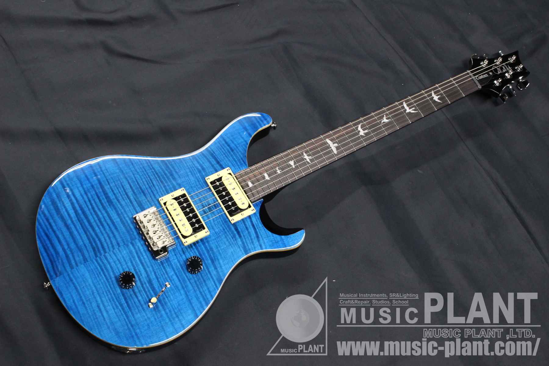 Paul Reed smith Custom 24 Blue Matteo