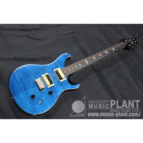 SE Custom 24 Beveled Top Blue Matteoサムネイル