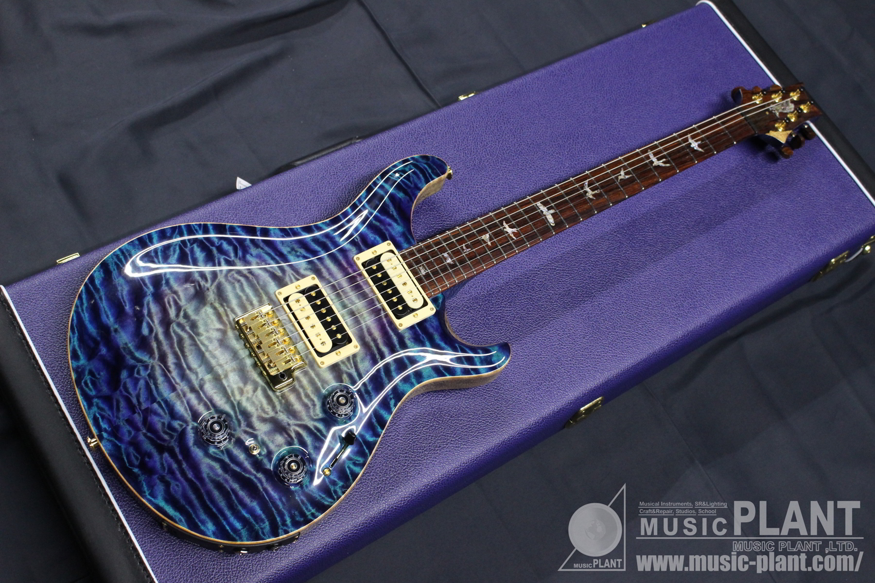 Paul Reed Smith (PRS) エレキギターPrivate Stock #6554 P24 Trem