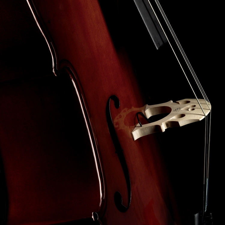 C-200 Cello Pickup追加画像 C-200 Cello Pickup追加画像