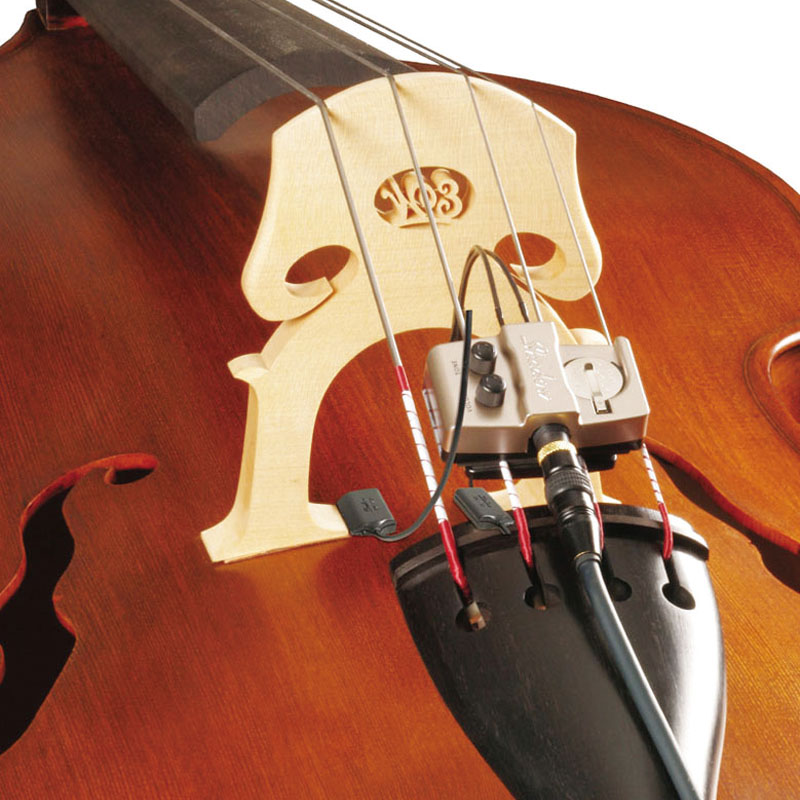 SH 965 NFX -Upright Bass-追加画像 SH 965 NFX -Upright Bass-追加画像