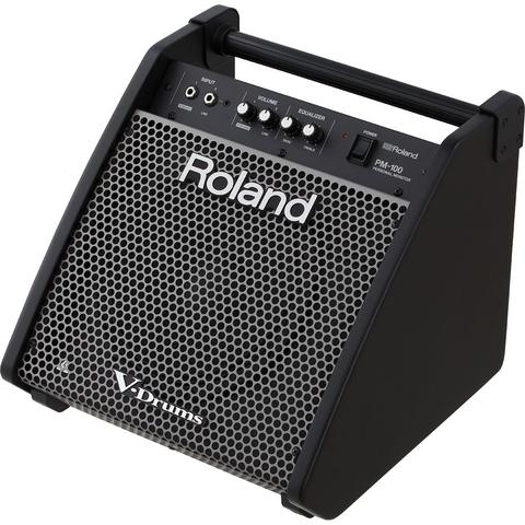 Roland-Personal Monitor
PM-100