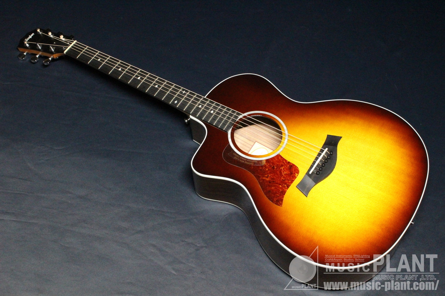 Taylor 200 Deluxeシリーズ エレクトリックアコースティックギター