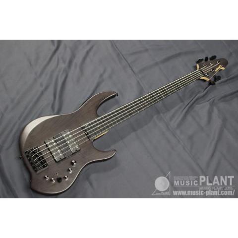 EDWARDS-5弦エレキベースASTERION 5