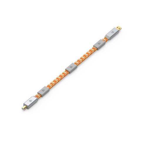 iFi Audio-USBケーブルMercury3.0 USB2.0 Cable (1.0m)