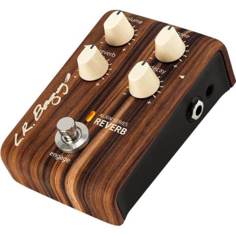 L.R.Baggs

Reverb