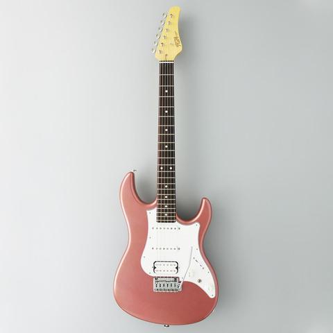 Fender-テレキャスター
Made in Japan Traditional 70s Telecaster Thinline Flamingo Pink