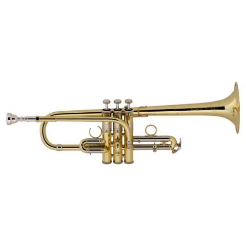 Bach-Eb/Dトランペット
ADE190GL E♭/D Trumpet
