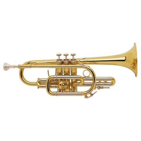 Bach181ML GL Cornet