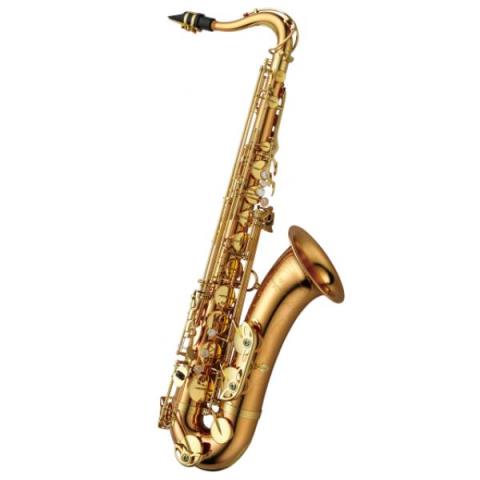 YANAGISAWA-BbテナーサックスT-WO2 Bronze Brass