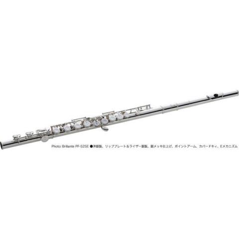Pearl FLUTE

PF-525RBE H足部管・リングキィ・Eメカニズム付