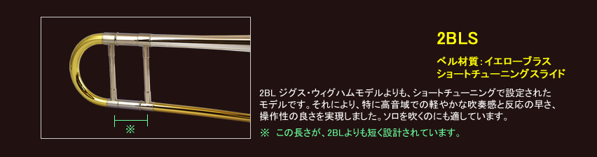 2BLS ジグズ・ウィグハムモデル追加画像 2BLS ジグズ・ウィグハムモデル追加画像
