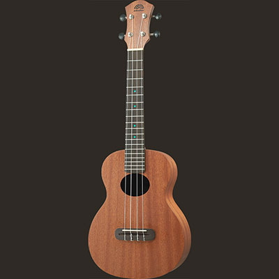 aNN-B2 Lumi Basic II Mahogany追加画像 aNN-B2 Lumi Basic II Mahogany追加画像