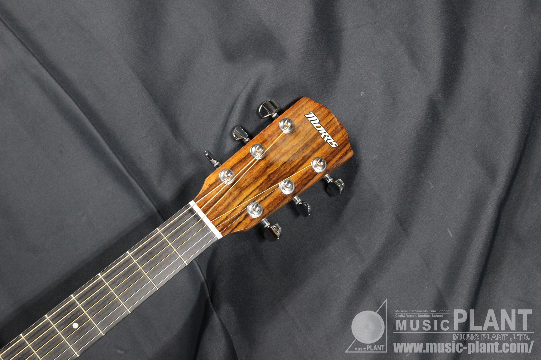 Morris PERFORMERS EDITIONシリーズ アコースティックギターM