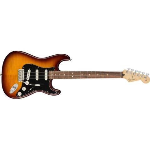 Player Stratocaster Plus Top Tobacco Burst (Pau Ferro Fingerboard)サムネイル