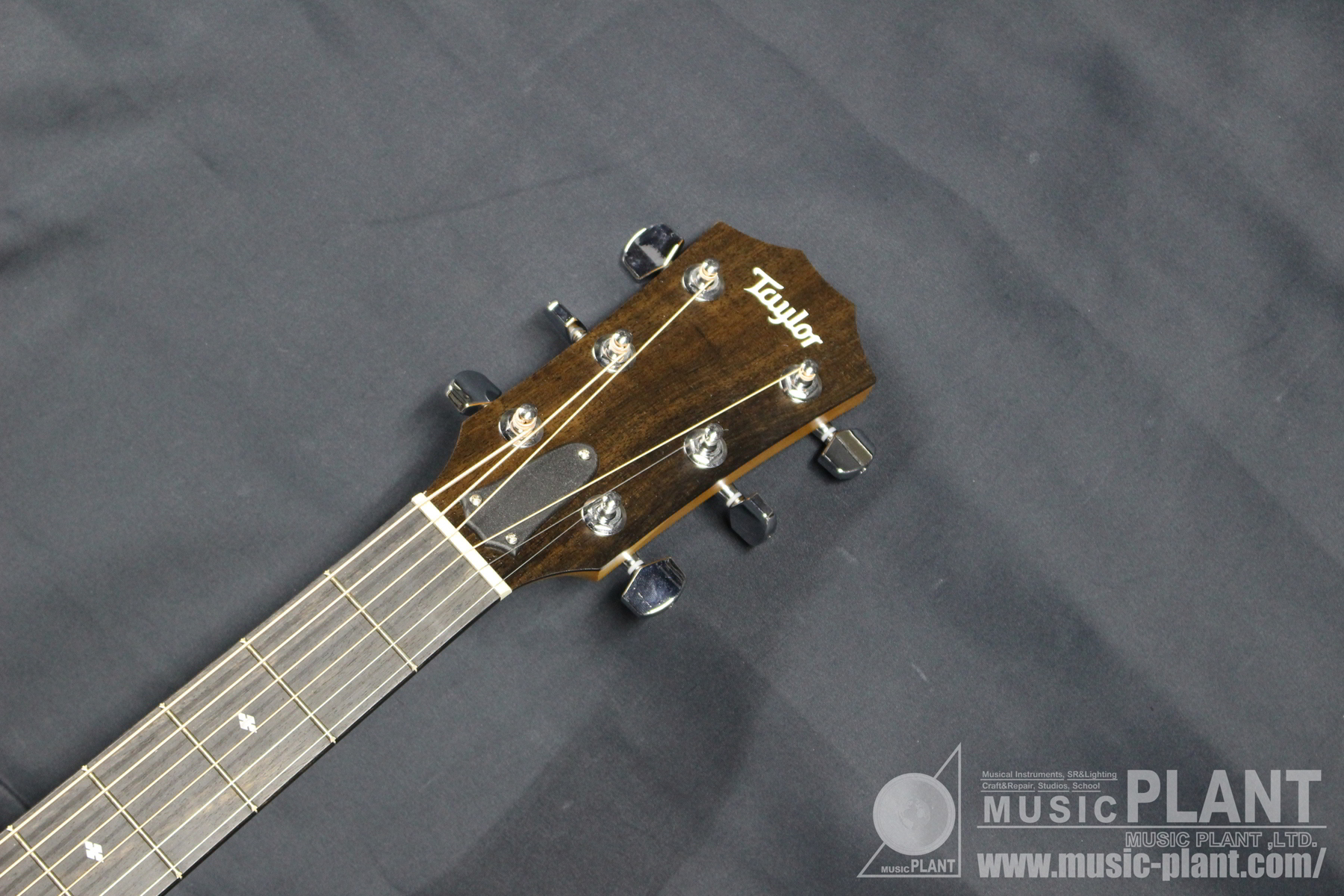 224ce-KOA DLXヘッド画像 224ce-KOA DLXヘッド画像