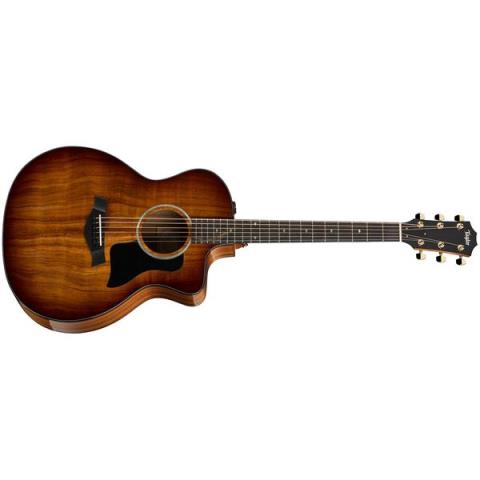 Taylor-エレクトリックアコースティックギター224ce-KOA DLX