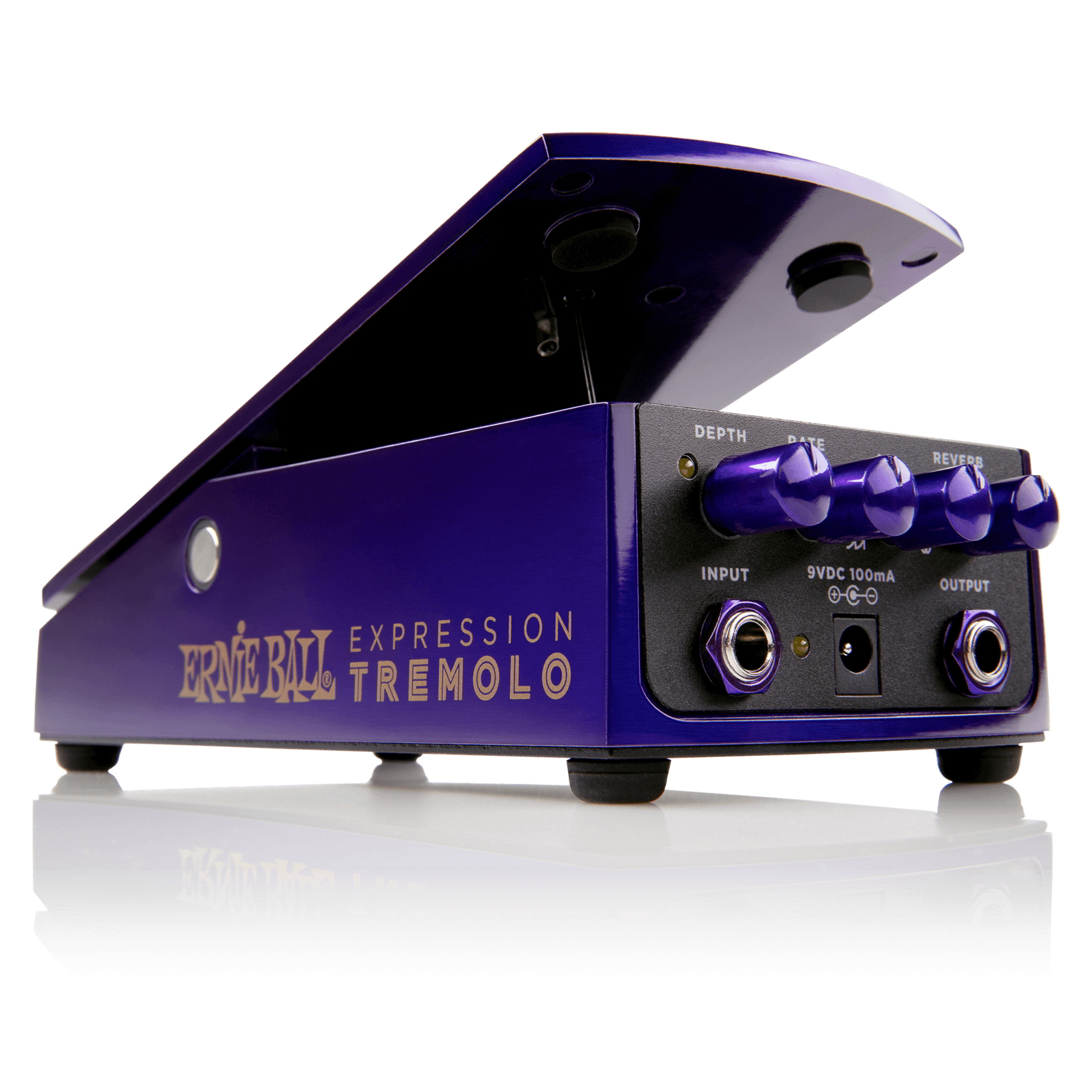Expression Tremolo #6188追加画像 Expression Tremolo #6188追加画像