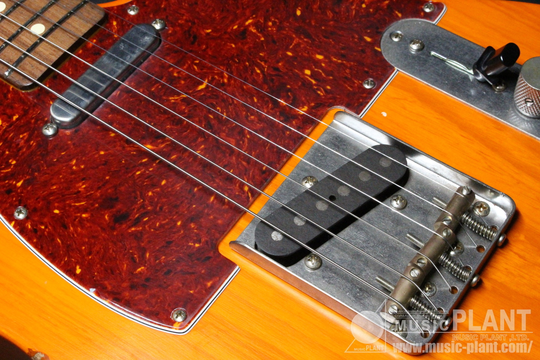 T63 Clear Orange Light Aged追加画像 T63 Clear Orange Light Aged追加画像