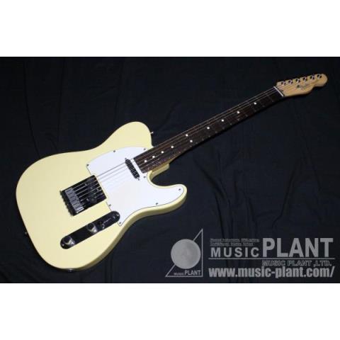 American Standard Telecaster VWHサムネイル