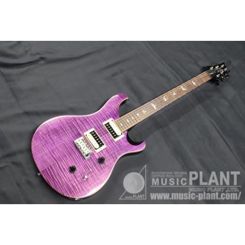 SE Custom 24 Beveled Top Amethystサムネイル