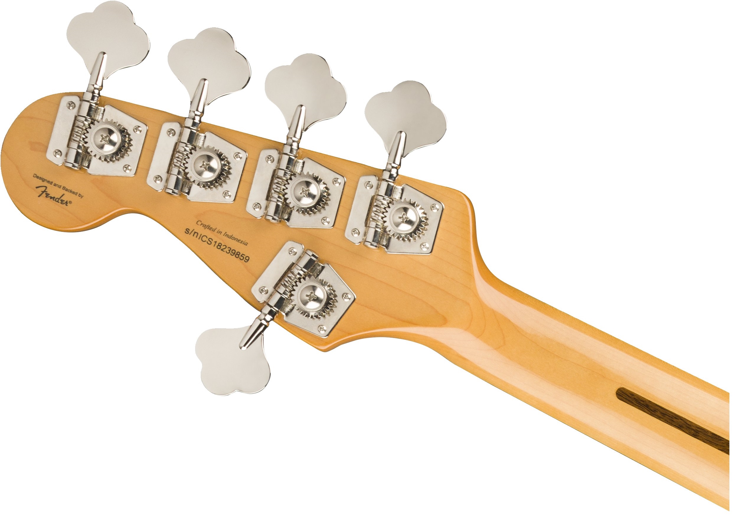 SQ CV 70s JAZZ BASS V Black追加画像 SQ CV 70s JAZZ BASS V Black追加画像