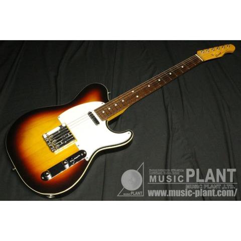 Cool Z-エレキギターTL type 3TS