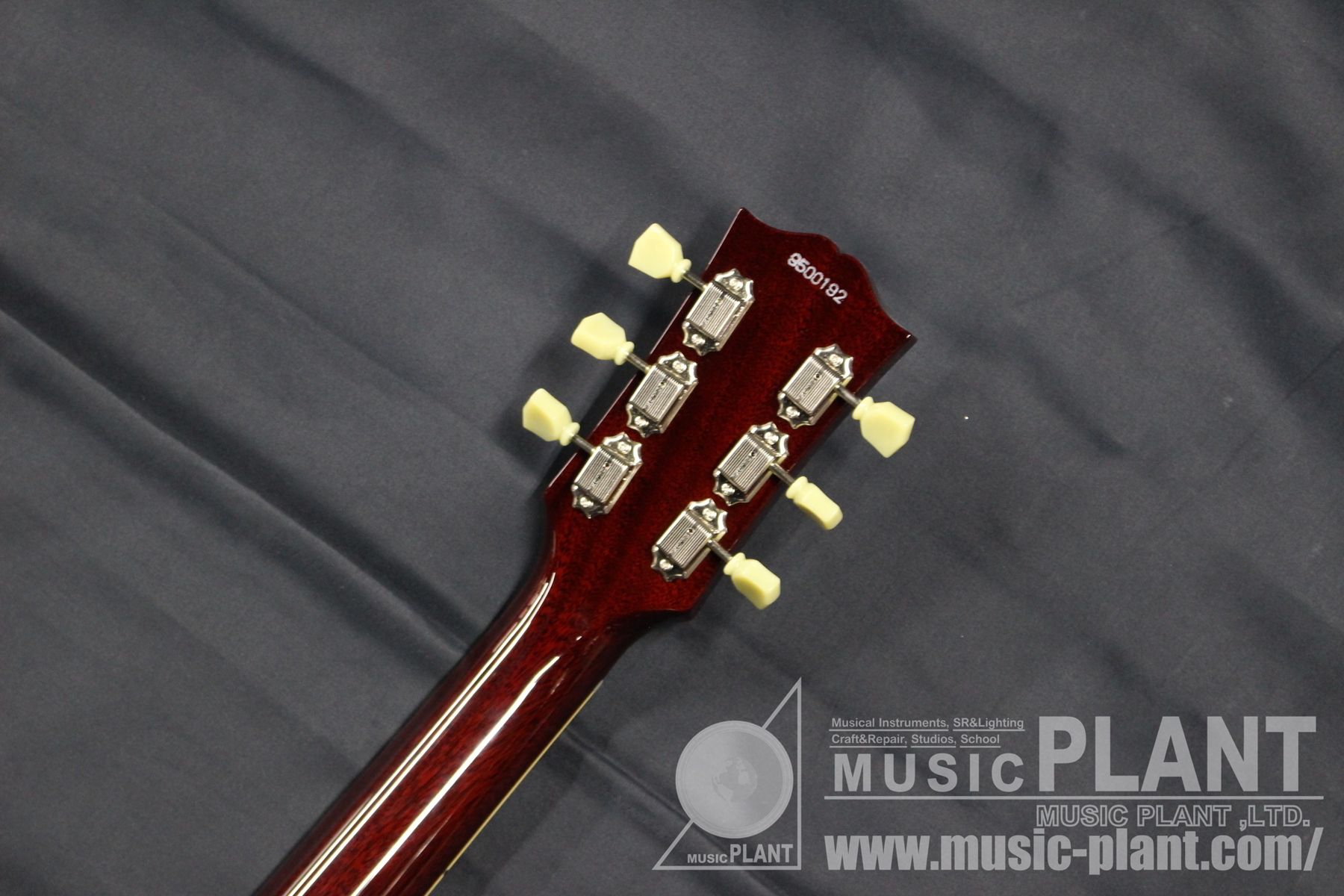 N-LP-STD GOLD Dark Back追加画像 N-LP-STD GOLD Dark Back追加画像