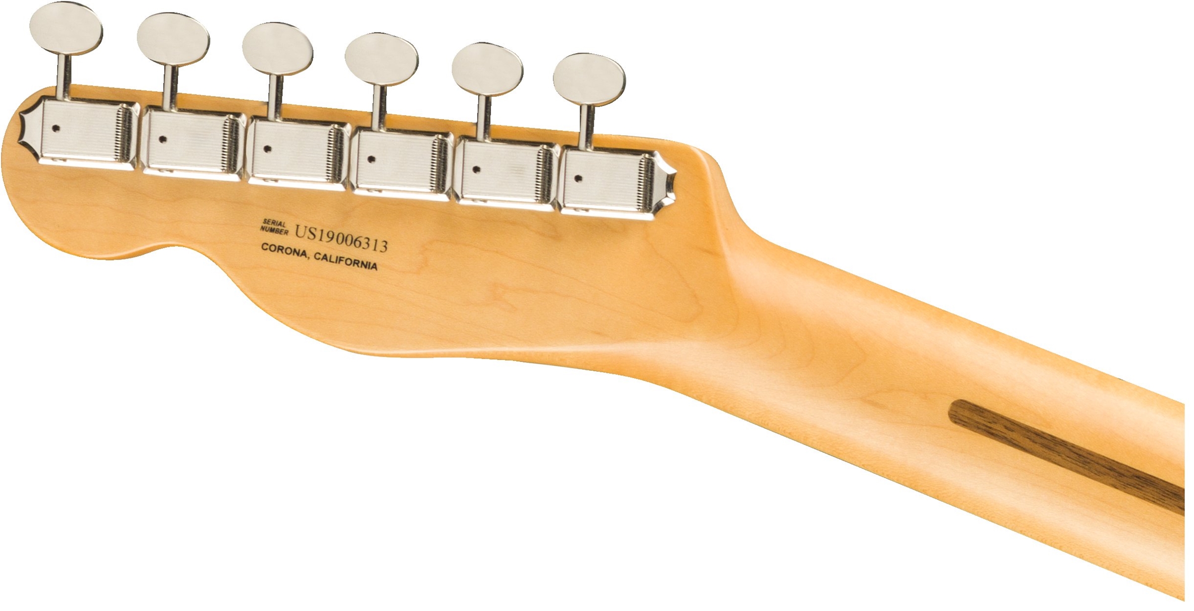 Britt Daniel Tele Thinline Amarillo Gold追加画像 Britt Daniel Tele Thinline Amarillo Gold追加画像