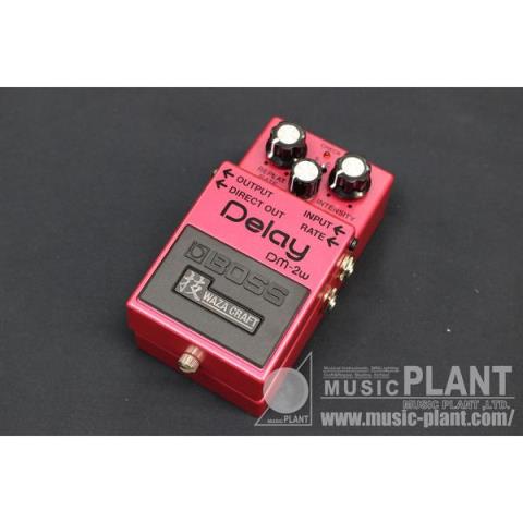 DM-2Wサムネイル