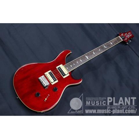 SE STANDARD24 Vintage Cherryサムネイル