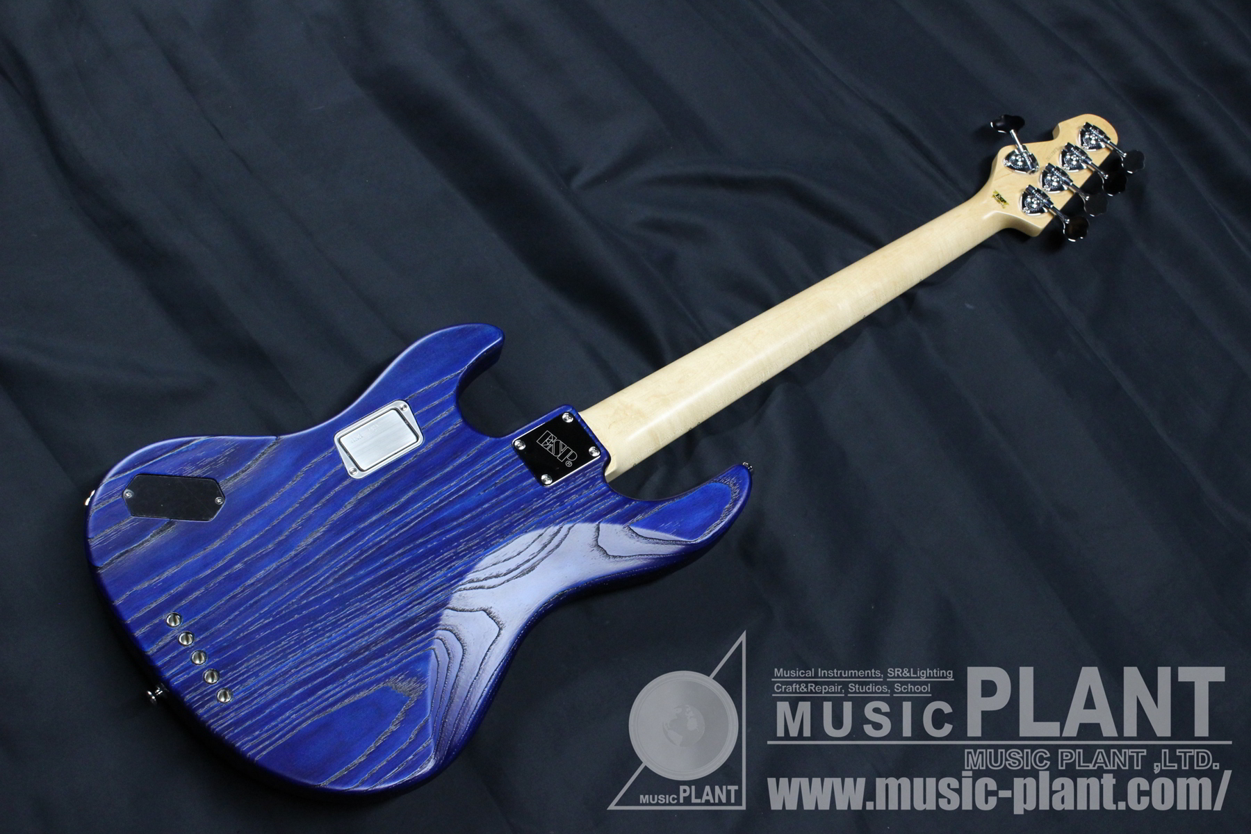 ESP DRIFTWOODシリーズ 5弦エレキベースAMAZE AS SL5/M Driftwood Blue