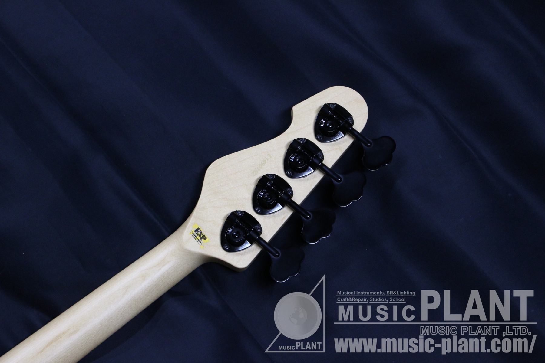 AMAZE-CTM/M Buckeye Burl追加画像 AMAZE-CTM/M Buckeye Burl追加画像
