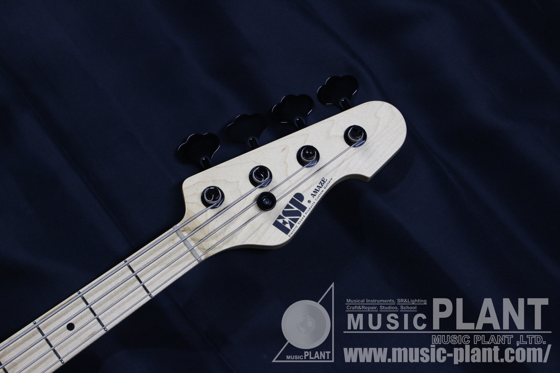 AMAZE-CTM/M Buckeye Burlヘッド画像 AMAZE-CTM/M Buckeye Burlヘッド画像