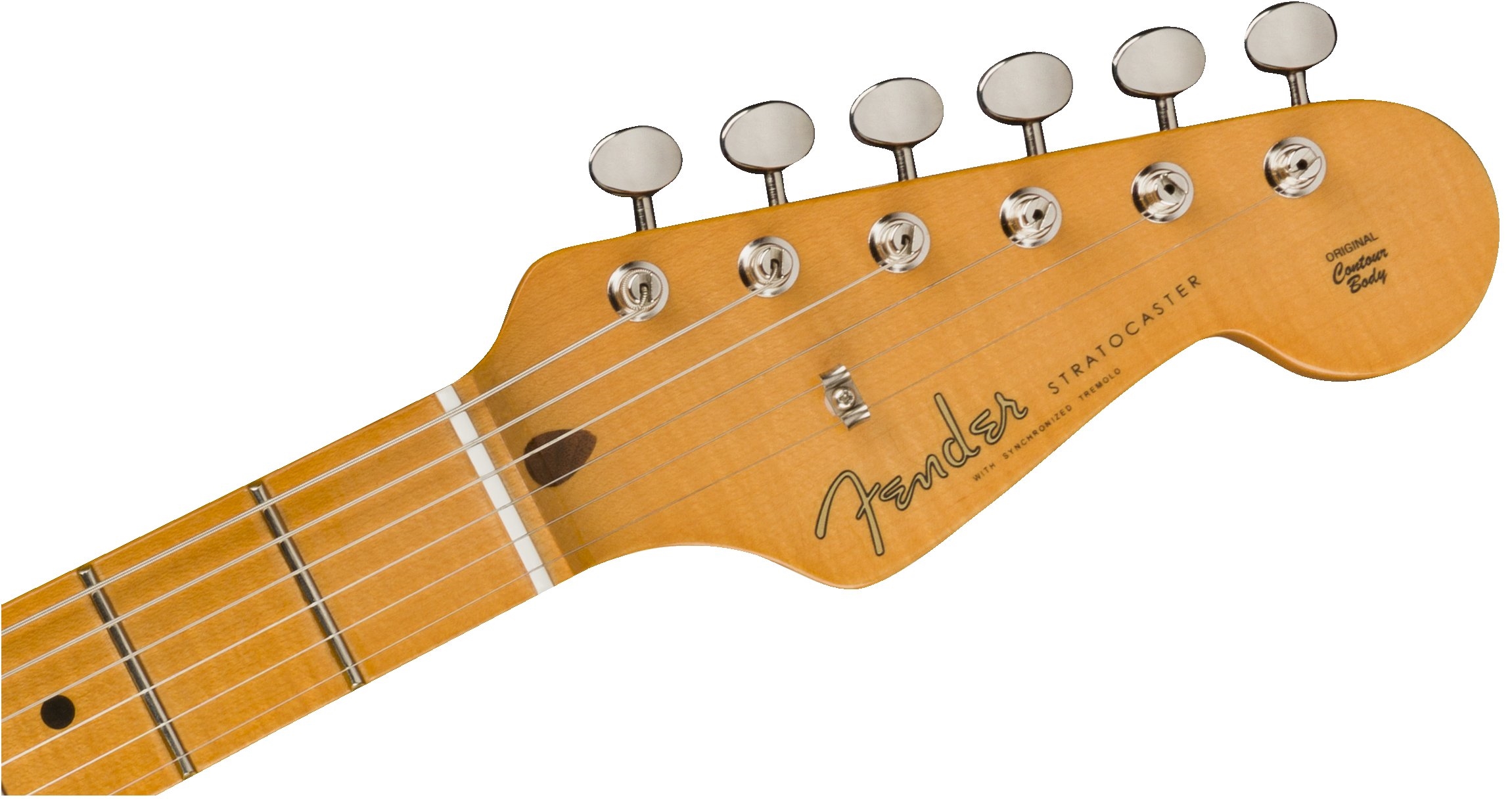 Stories Collection Eric Johnson 1954 “Virginia” Stratocasterヘッド画像 Stories Collection Eric Johnson 1954 “Virginia” Stratocasterヘッド画像